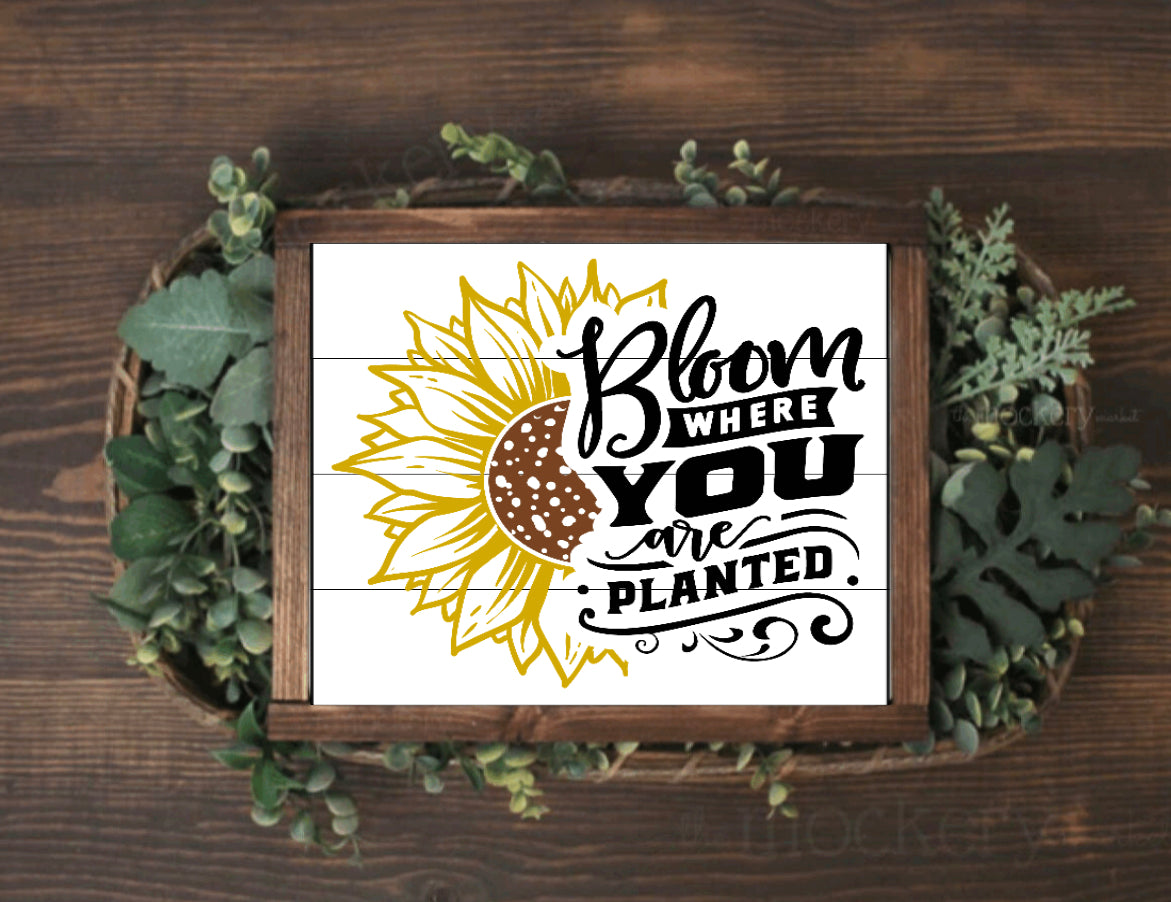 Sunflower Signs