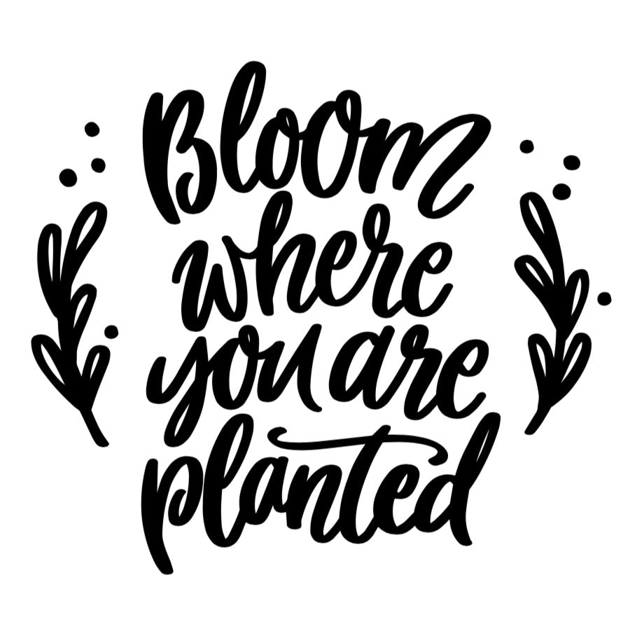 Bloom Where You Are Planted
