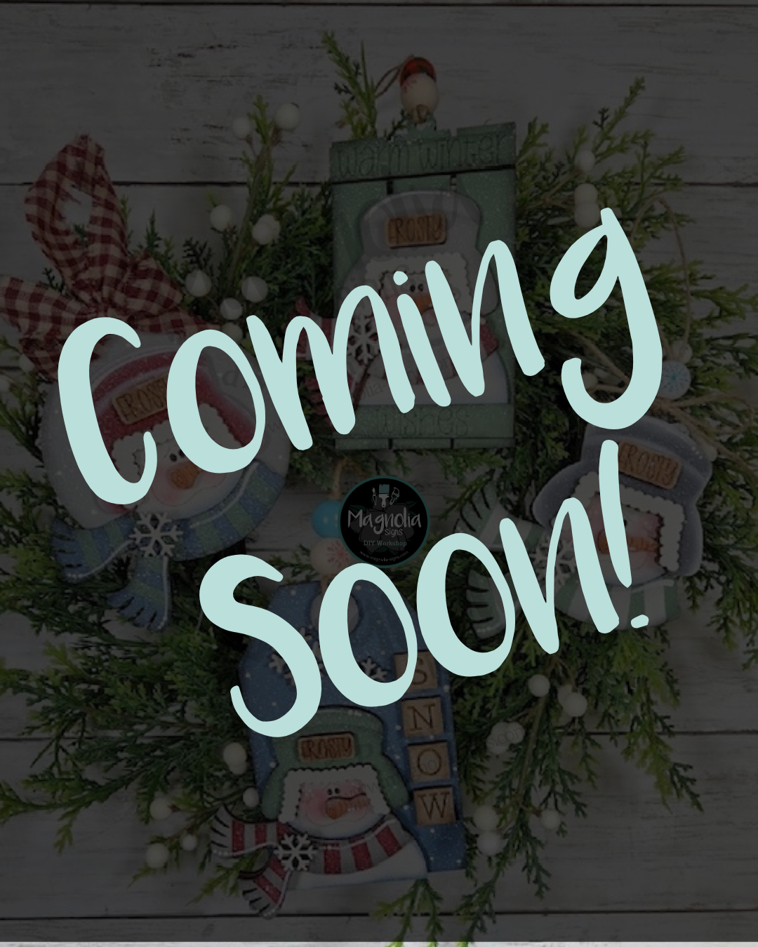 12 days of Christmas in July Sale 2026