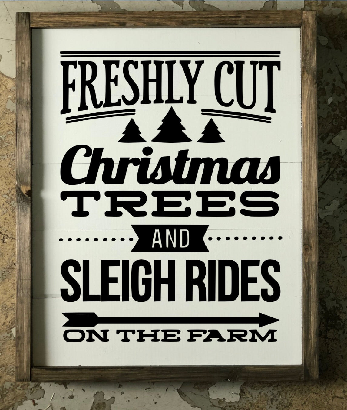 Freshly Cut Christmas Trees