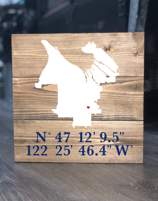 City Map Silhouette with Coordinates