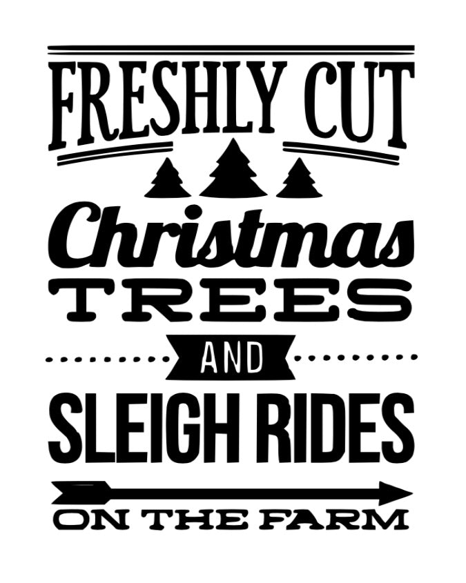 Freshly Cut Christmas Trees