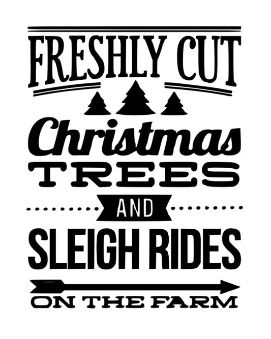 Freshly Cut Christmas Trees